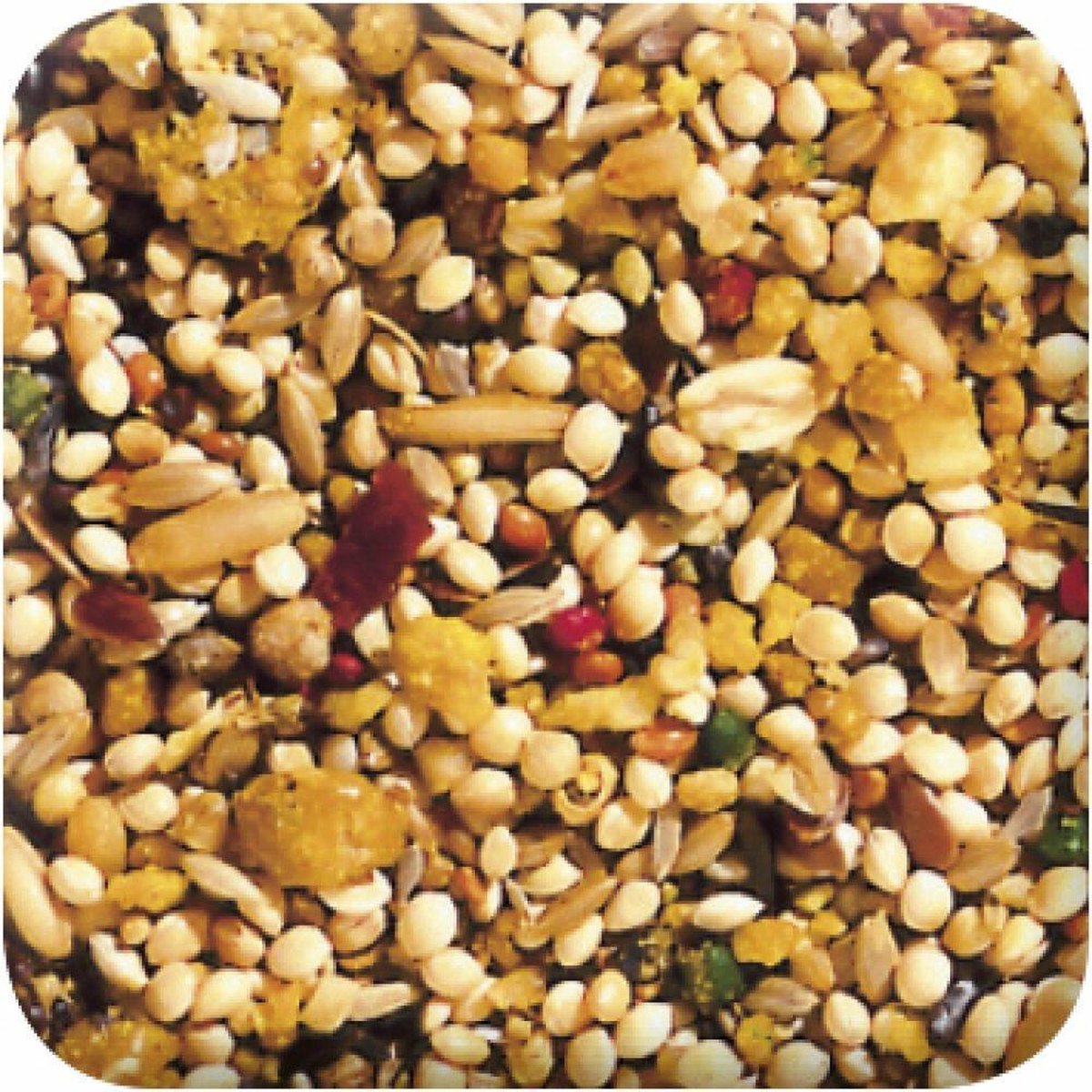 Xtra Vital Parkiet - Vogelvoer - 1 kg
