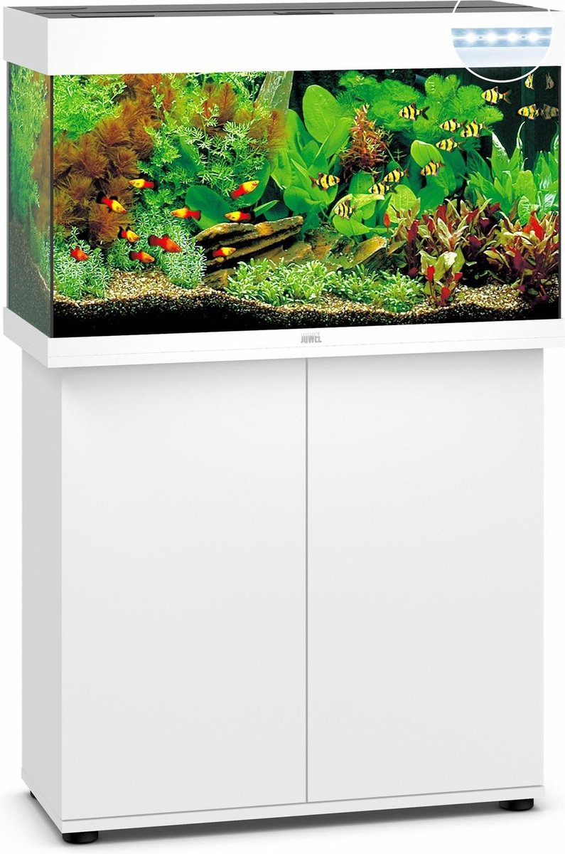 Juwel Kast Rio 125 Sbx 81x36x73 cm - Aquariummeubel - - Wit