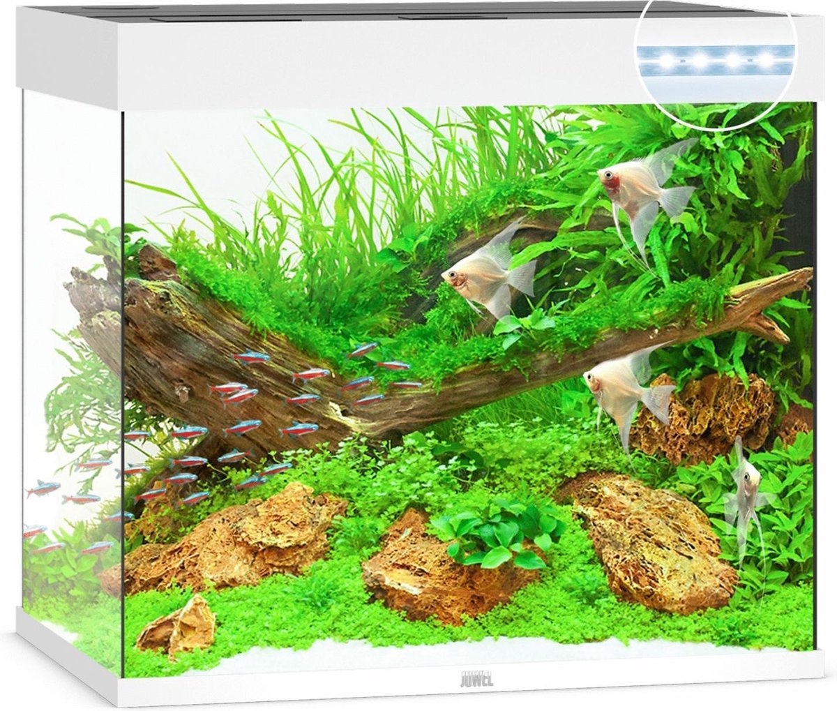Juwel Aquarium Lido 200 Led 71x51x65 cm - Aquaria - Ca. 200 L - Wit