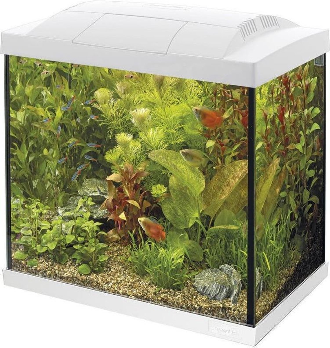 Superfish Aquarium Start 30 Tropical Kit Retro Led 25 l - Aquaria - - Wit