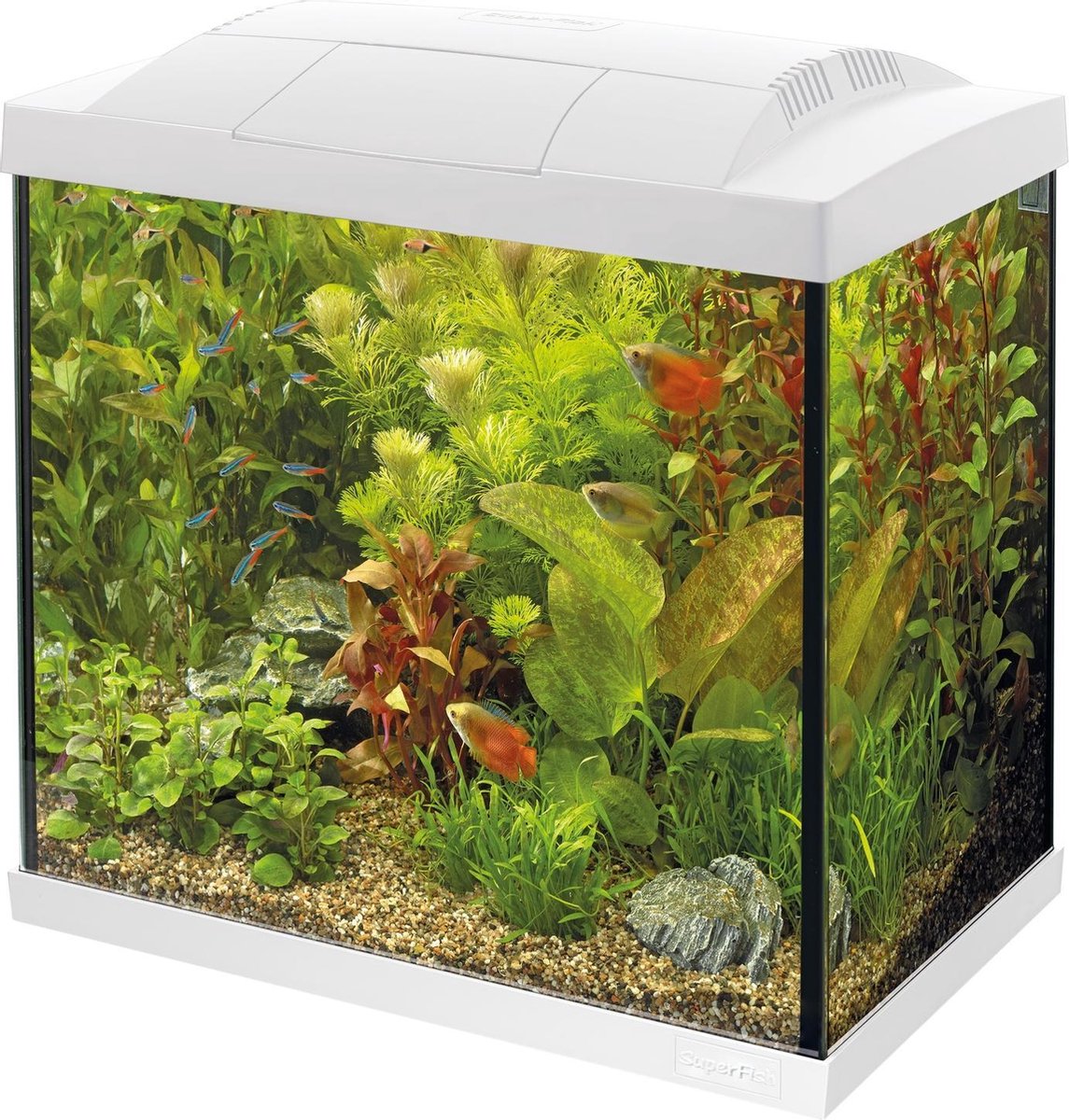 Superfish Aquarium Start 50 Tropical Kit Retro Led 45 l - Aquaria - - Wit
