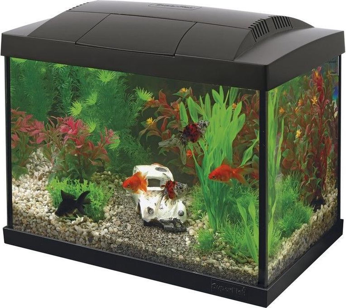 Superfish Aquarium Start 20 Goldfish Kit Led 20 l - Aquaria - - Zwart