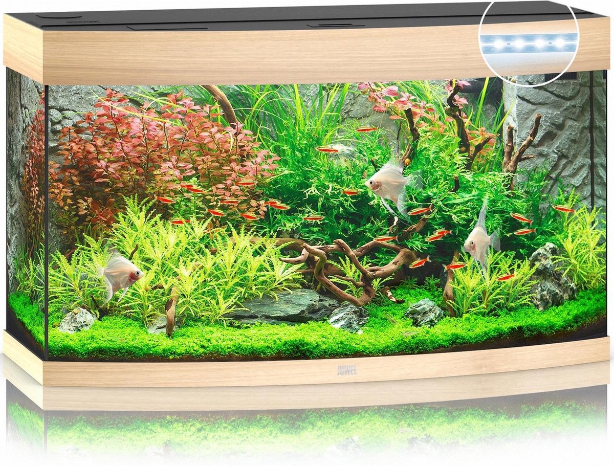 Juwel Aquarium Vision 180 Led 92x41x55 cm - Aquaria - Licht Hout