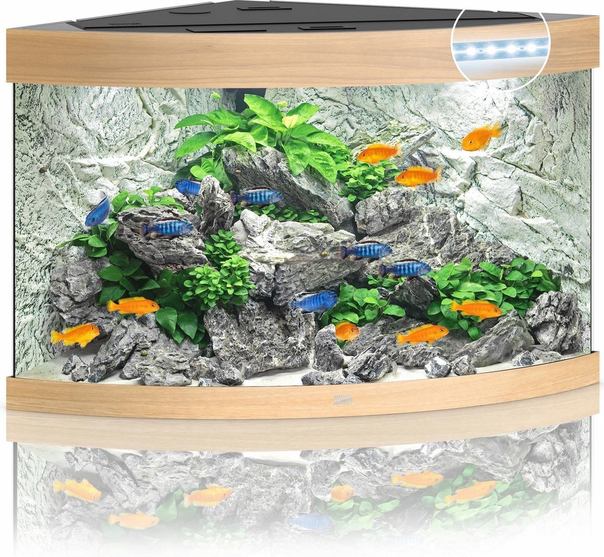 Juwel Aquarium Trigon 190 Led 70x70x60 cm - Aquaria - Licht Hout