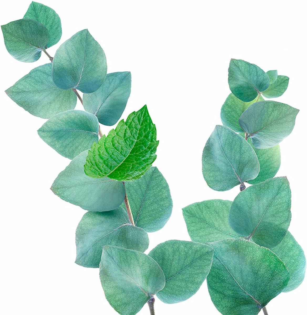 Kneipp Douche Scrub Refreshing 200ml