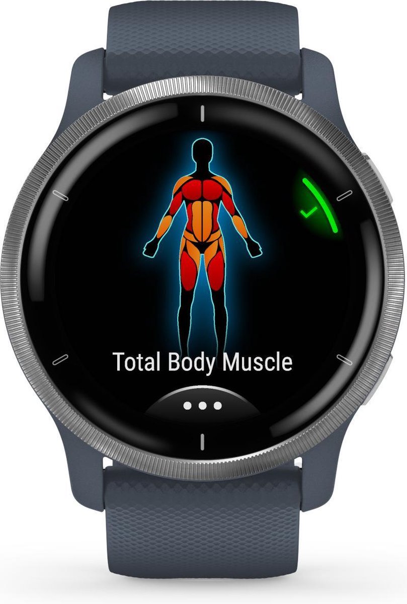 Garmin Venu 2 Zilver/ - Blauw
