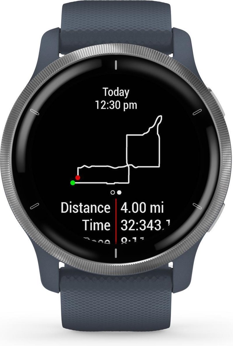 Garmin Venu 2 Zilver/ - Blauw
