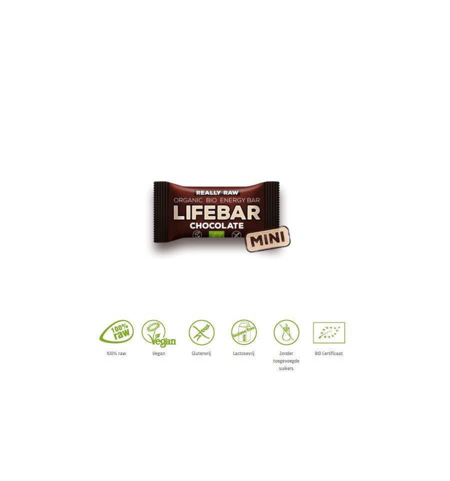 Lifefood Mini lifebar energiereep chocolade raw & bio 25 gram