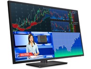 HP Z43 Monitor