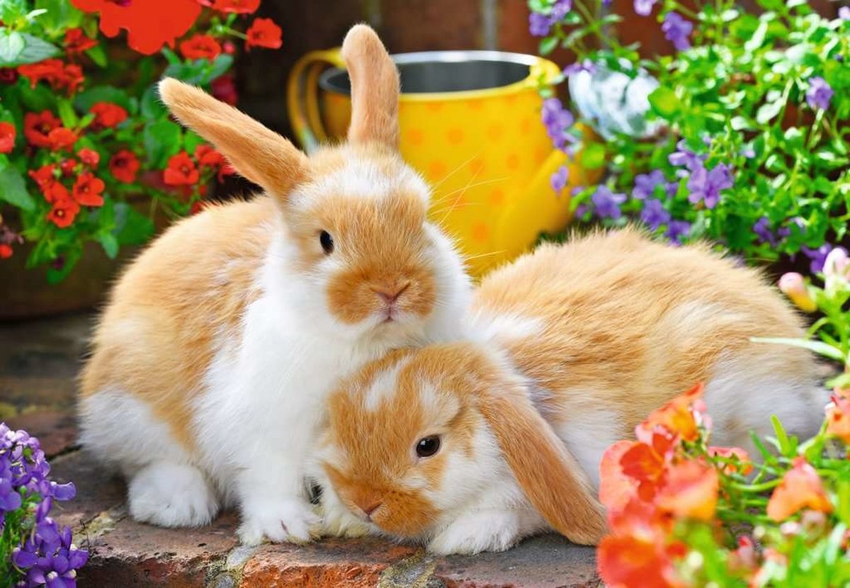 Ravensburger Puzzel Knuffeltijd Konijn 2x12 Stukjes