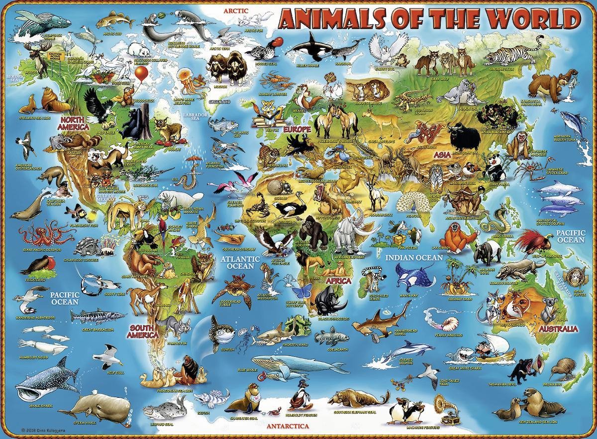 Ravensburger Puzzel Dieren Over De Wereld 300 Stukjes