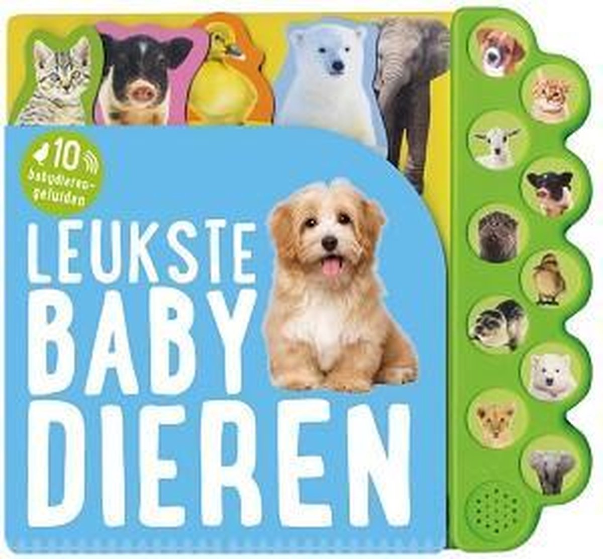 Ravensburger Puzzel Dieren Over De Wereld 300 Stukjes
