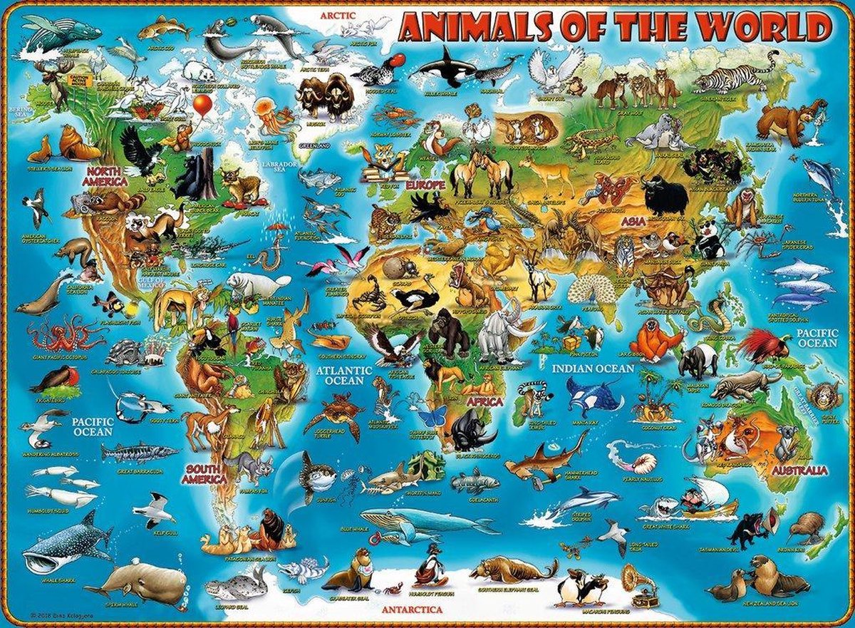Ravensburger Puzzel Dieren Over De Wereld 300 Stukjes