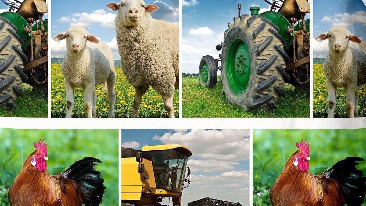 Good Morning dekbedovertrek Agri junior 140 x 220 cm katoen