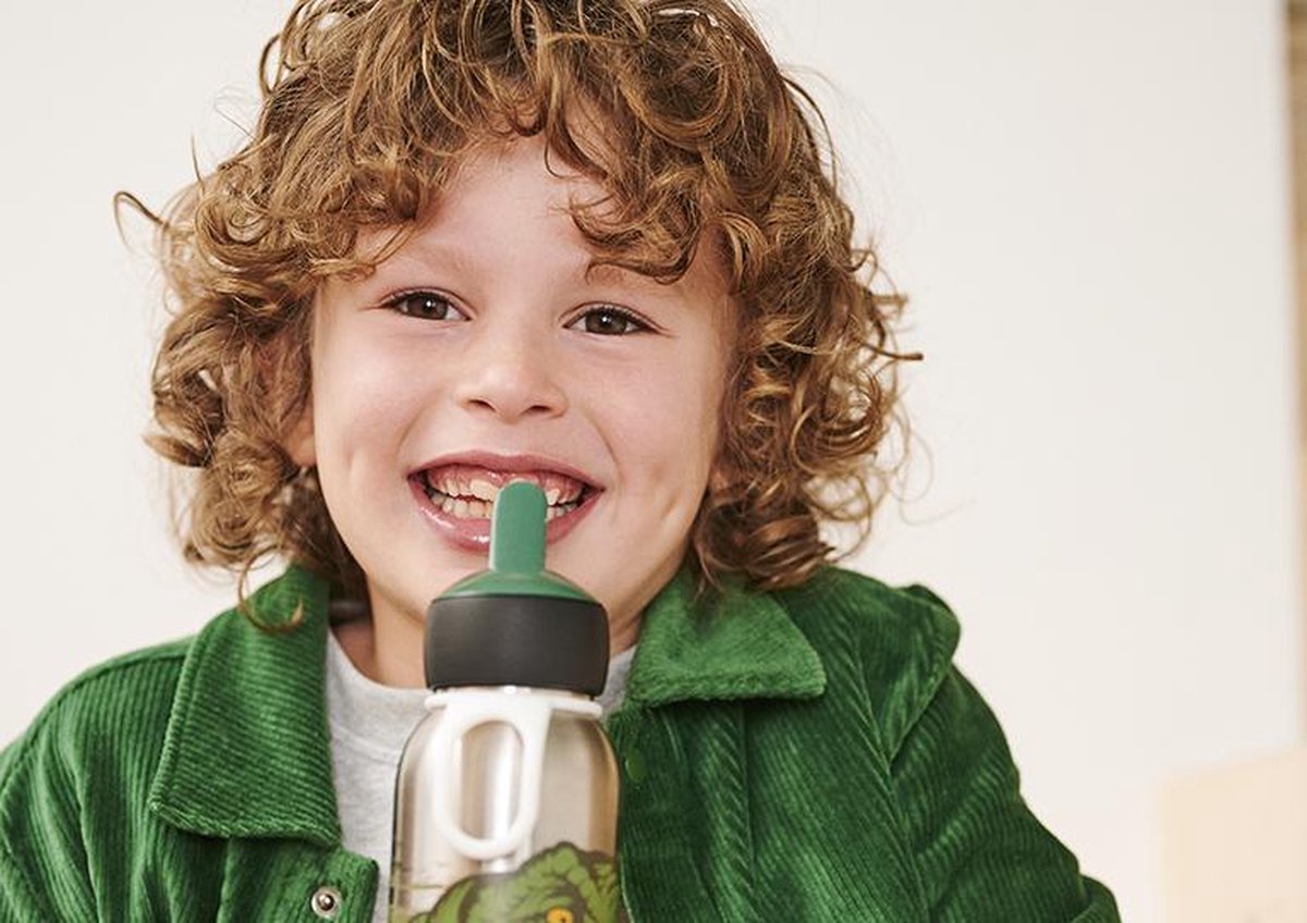 Mepal Danneels isoleerfles dino junior 350 ml RVS/siliconen