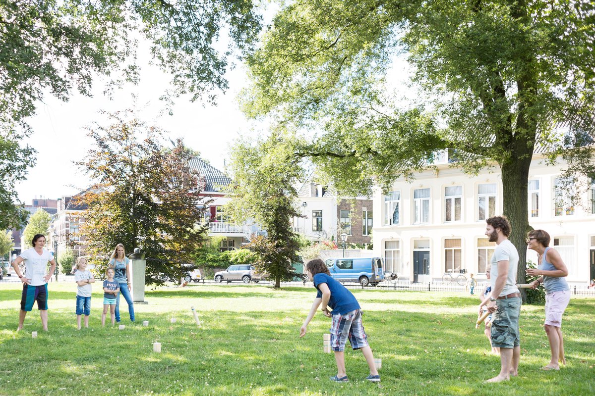 BS Toys Kubb vurenhout 21 delig