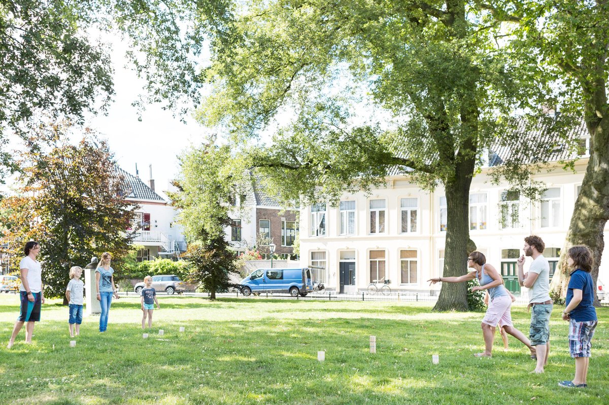 BS Toys Kubb vurenhout 21 delig