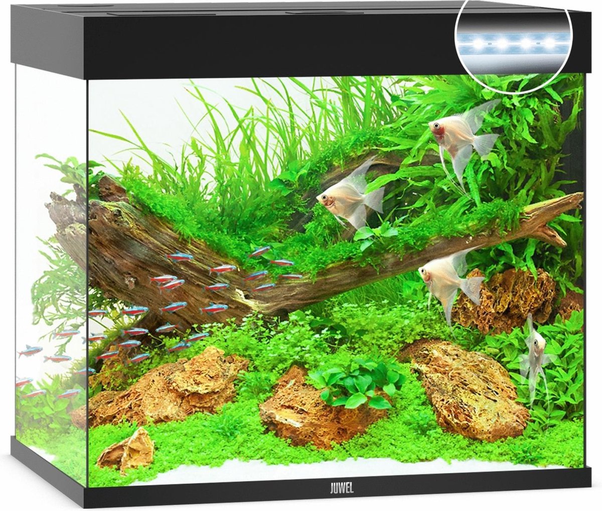 Juwel Aquarium Lido 200 Led 71x51x65 cm - Aquaria - Ca. 200 L - Zwart