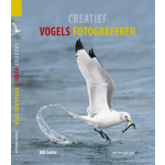 Creatief Vogels Fotograferen