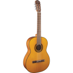 Takamine GC1-NAT klassieke gitaar