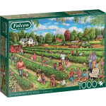 Falcon legpuzzel Strawberry Picking 68 x 50 karton 1000 stukjes