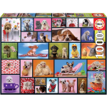 - Shared Moments Puzzle 1000 Stks