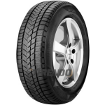 Sunny Wintermax NW211 ( 205/60 R16 96H XL )