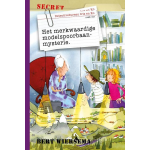 Het merkwaardige modelspoorbaanmysterie