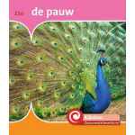 De Pauw