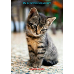 Mijnbestseller.nl In loving memory