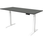 IVOL Elektrisch Verstelbaar Bureau - 140x80 Cm - Dual Motor - / Antraciet - Wit