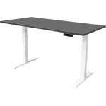 IVOL Elektrisch Verstelbaar Bureau - 160x80 Cm - Dual Motor - / Antraciet - Wit