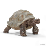 Schleich 14824 Reuzenschildpad - Grijs