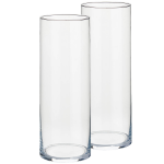 Arte r Set Van 2x Stuks Bloemenvazen Van Glas 12 X 30 Cm - Glazen Transparante Cilinder Vazen