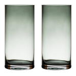 Bellatio Decorations 2x Transparant Grijze Home-basics Cylinder Vaas/vazen Van Glas 25 X 12 Cm - Bloemen/boeketten - Binnen Gebruik