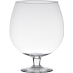 Bellatio Design Transparante Luxe Stijlvolle Brandy Vaas/vazen Van Glas 38 Cm - Bloemen/terrarium Vaas Voor Binnen Gebruik