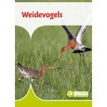 Weidevogels