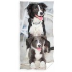 Carbotex strandlaken Dogs 70 x 140 cm katoen zwart/grijs/wit
