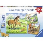 Ravensburger Puzzel Knuffeltijd - 3 X 49 Stukjes