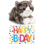 Bellatio Decorations Cadeau Setje Pluche Grijze Kat/poes Knuffel 32 Cm Met Grote A5 Formaat Happy Birthday Wenskaart - Grijs