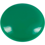 Westcott magneten 25 x 12 mm 10 stuks - Groen