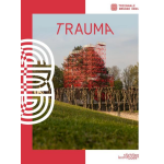 TraumA. Triënnale Brugge 2021 (ENG/NL)