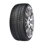 Gripmax Status Pro Winter ( 275/40 R21 107V XL ) - Zwart