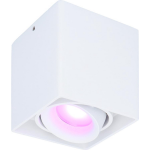 Smart WiFi LED opbouw plafondspot Esto wit RGBWW GU10 IP20 kantelbaar