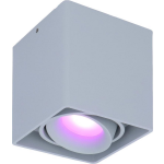 Smart WiFi LED opbouw plafondspot Esto RGBWW GU10 IP20 kantelbaar - Grijs
