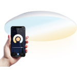 LED Smart Plafondlamp WiFi + Bluetooth 25W Lichtkleur instelbaar - 2600lm - IK10 - Ø38cm IP65 - Wit