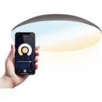 LED Plafondlamp WiFi + Bluetooth 18W Lichtkleur instelbaar - 1900lm - IK10 - Ø30 cm - RVS - IP65