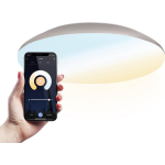 LED Plafondlamp WiFi + Bluetooth 18W Lichtkleur instelbaar - 1900lm - IK10 - Ø30 cm - Chroom - IP65