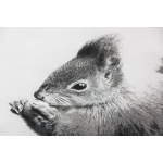 Papillon Dekbedovertrek Rebbel-140 X 200/220 - Wit