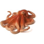 Mojo Sealife - Octopus 387275